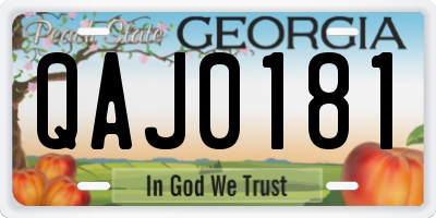 GA license plate QAJ0181