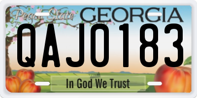 GA license plate QAJ0183