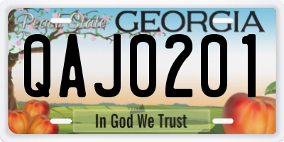 GA license plate QAJ0201