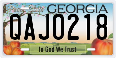 GA license plate QAJ0218