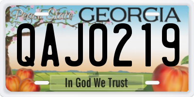 GA license plate QAJ0219