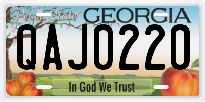 GA license plate QAJ0220