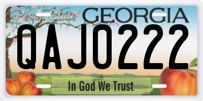 GA license plate QAJ0222