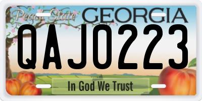 GA license plate QAJ0223