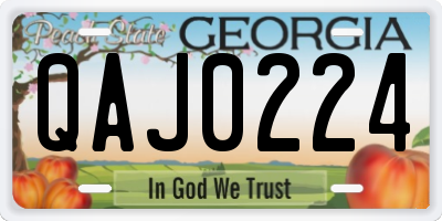 GA license plate QAJ0224