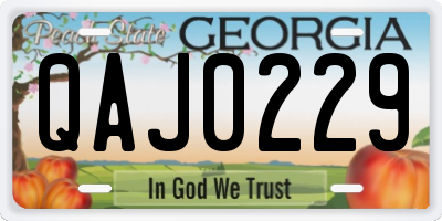 GA license plate QAJ0229