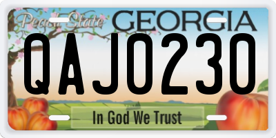 GA license plate QAJ0230