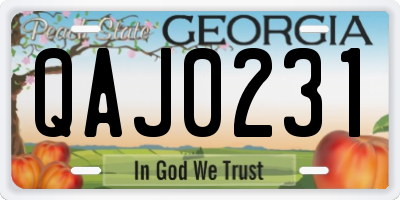 GA license plate QAJ0231