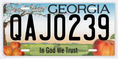 GA license plate QAJ0239