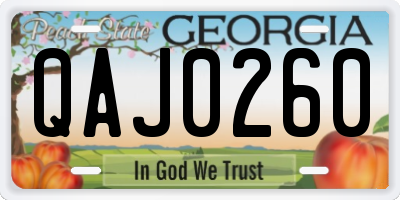 GA license plate QAJ0260