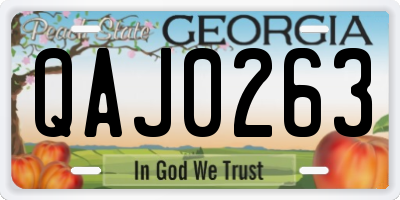 GA license plate QAJ0263