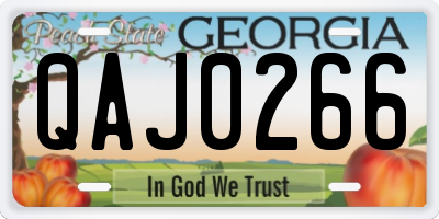 GA license plate QAJ0266