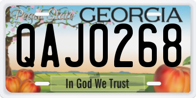GA license plate QAJ0268