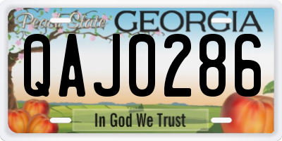 GA license plate QAJ0286