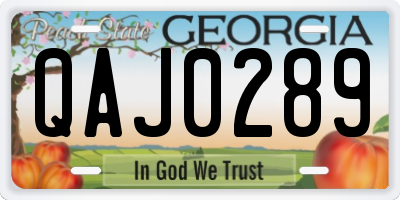 GA license plate QAJ0289