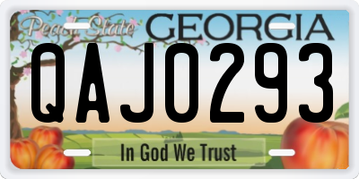 GA license plate QAJ0293