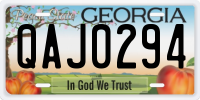GA license plate QAJ0294