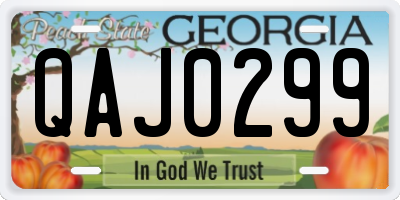 GA license plate QAJ0299