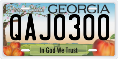 GA license plate QAJ0300