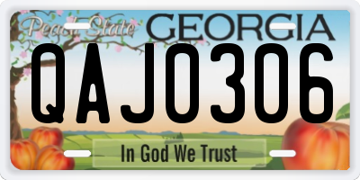 GA license plate QAJ0306