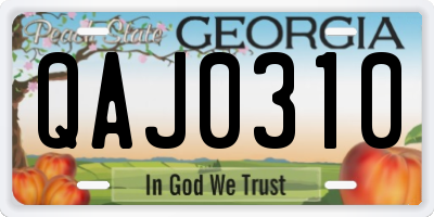 GA license plate QAJ0310
