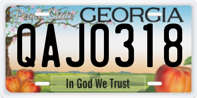 GA license plate QAJ0318