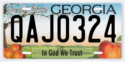 GA license plate QAJ0324