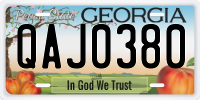 GA license plate QAJ0380