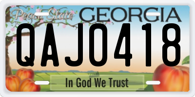GA license plate QAJ0418