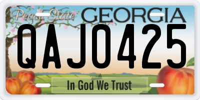 GA license plate QAJ0425
