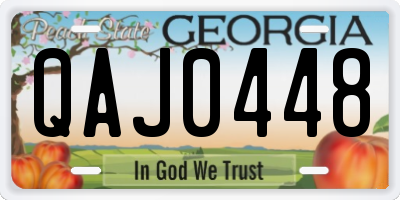 GA license plate QAJ0448