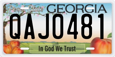 GA license plate QAJ0481