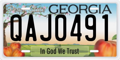 GA license plate QAJ0491