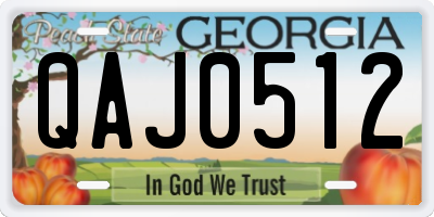 GA license plate QAJ0512