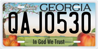 GA license plate QAJ0530