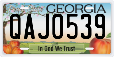 GA license plate QAJ0539