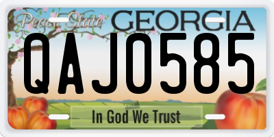 GA license plate QAJ0585