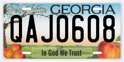 GA license plate QAJ0608