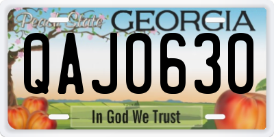 GA license plate QAJ0630