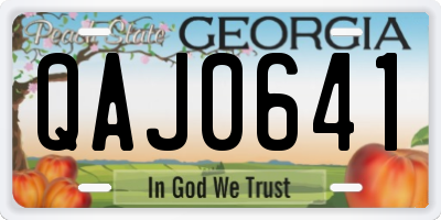 GA license plate QAJ0641