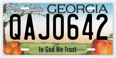 GA license plate QAJ0642