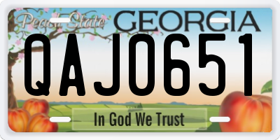 GA license plate QAJ0651