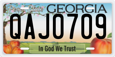 GA license plate QAJ0709