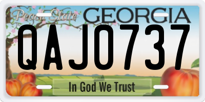 GA license plate QAJ0737
