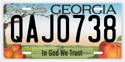 GA license plate QAJ0738