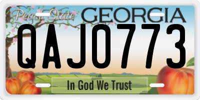 GA license plate QAJ0773