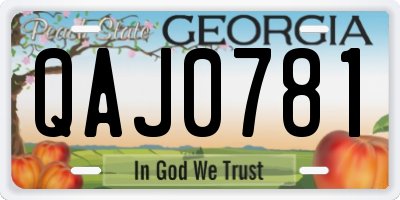 GA license plate QAJ0781