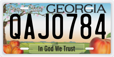 GA license plate QAJ0784