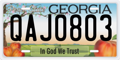 GA license plate QAJ0803