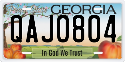 GA license plate QAJ0804